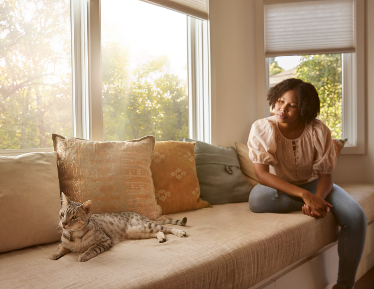 Cat on couch with pet owner