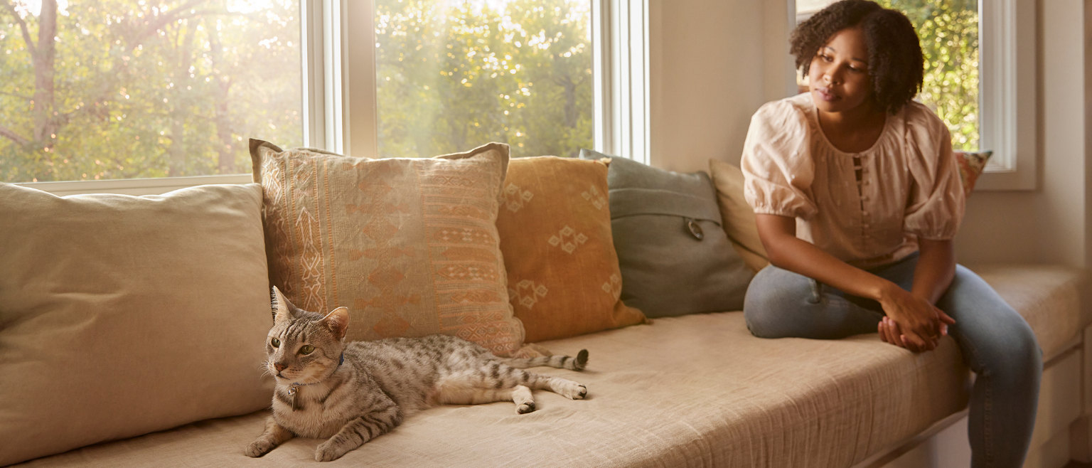 Cat on couch with pet owner