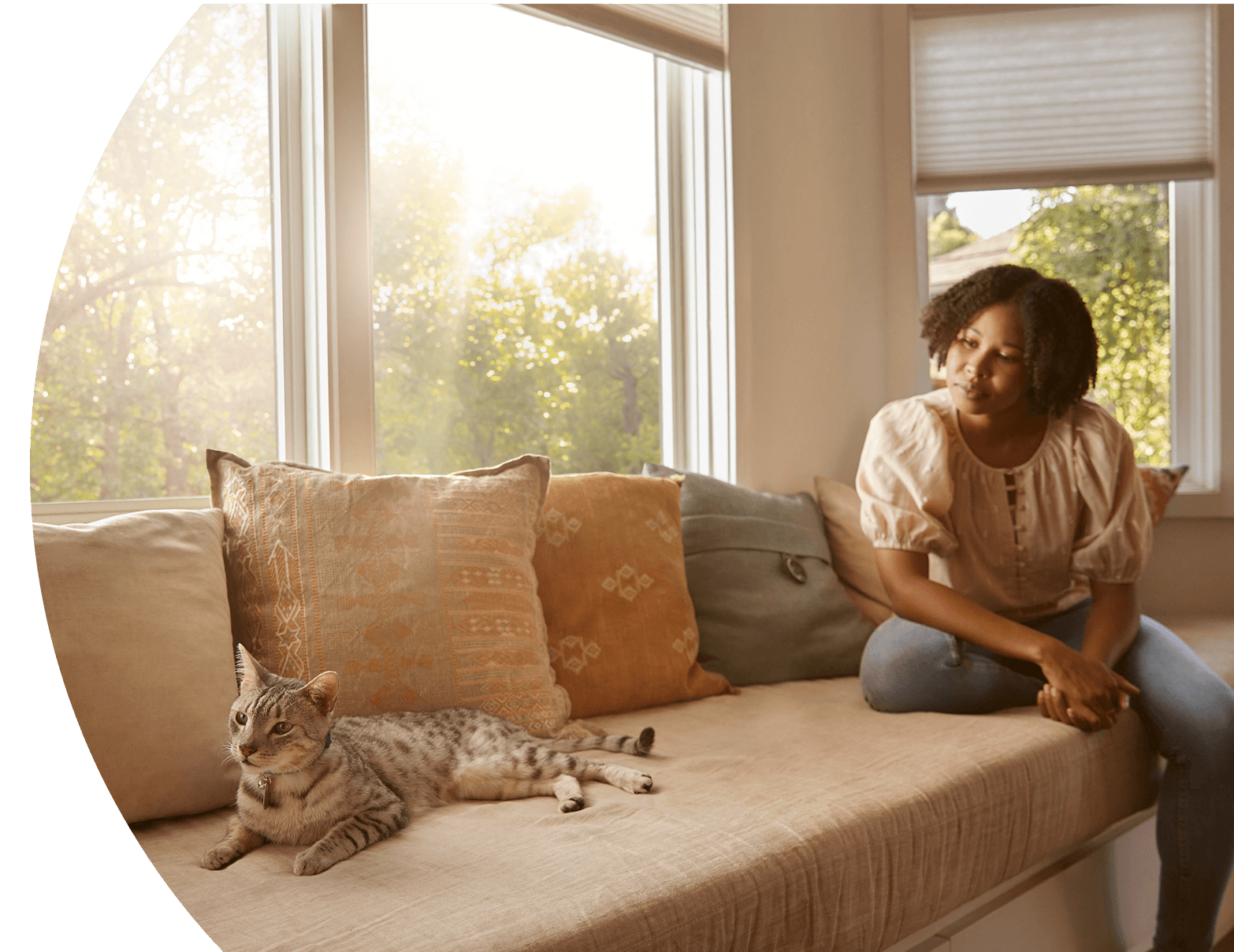 Cat on couch with pet owner