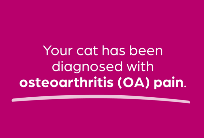 Diagnosed With Osteoarthritis Pain