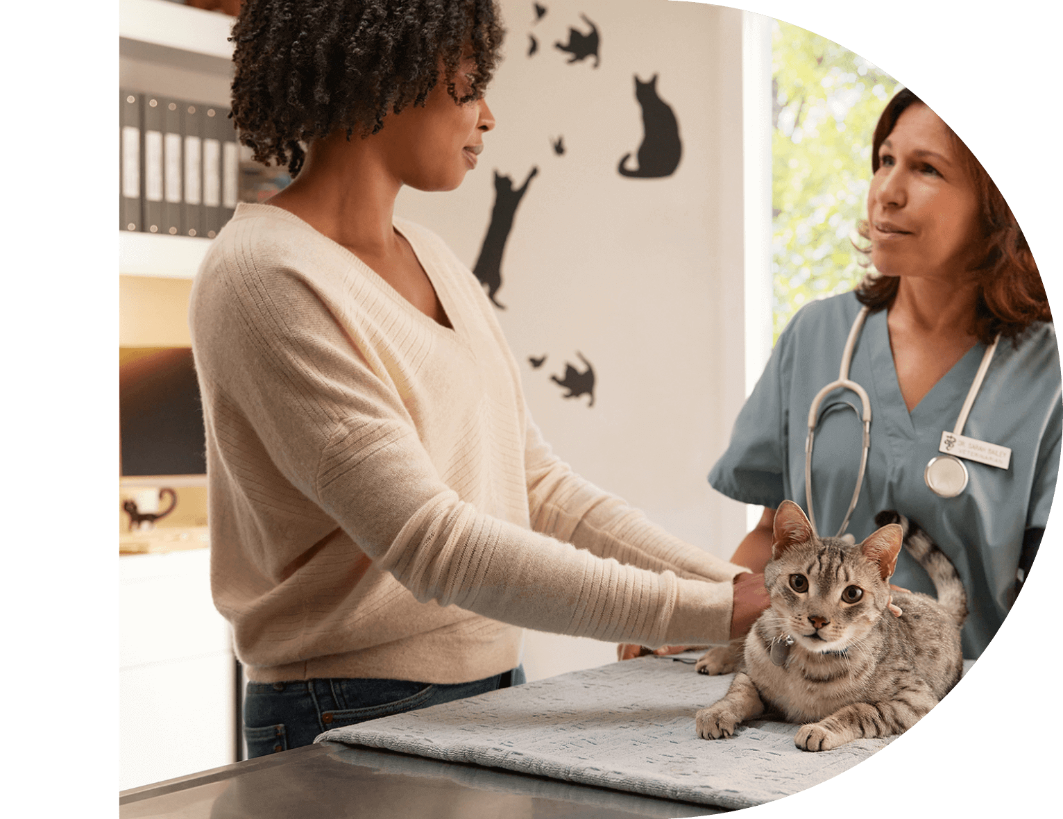 Pet owner with cat at veterinarian 