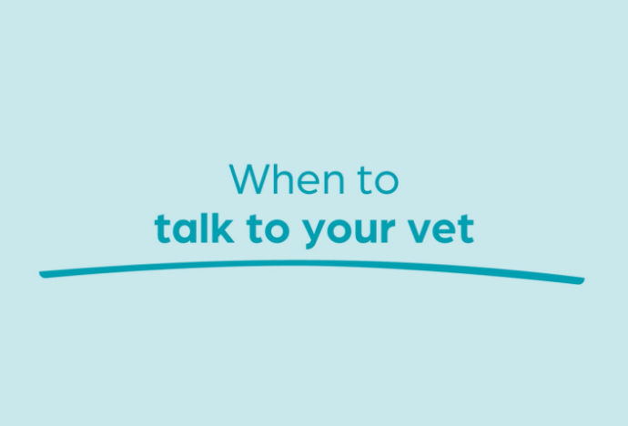 When To Talk To Your Vet