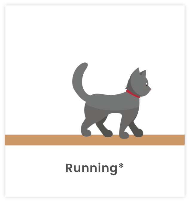 Image of cat running